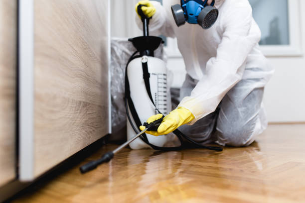 Best Wildlife Control Services  in Osburn, ID