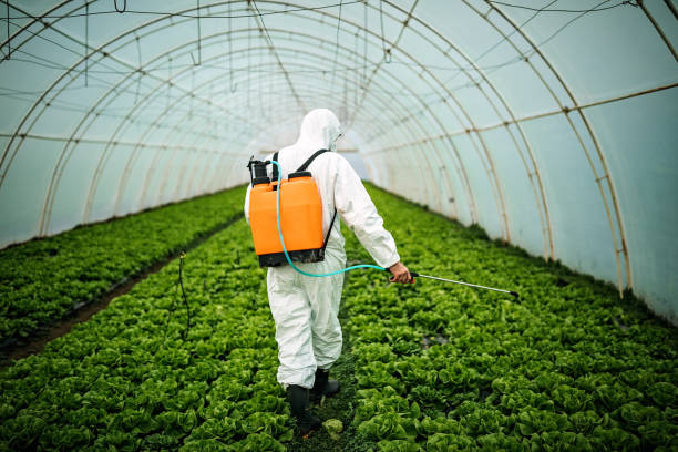 Best Insect Control  in Osburn, ID