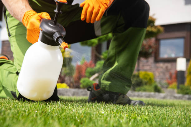 Best Best Pest Control Companies  in Osburn, ID