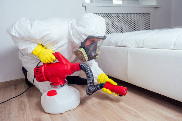 Best Local Pest Control Services  in Osburn, ID