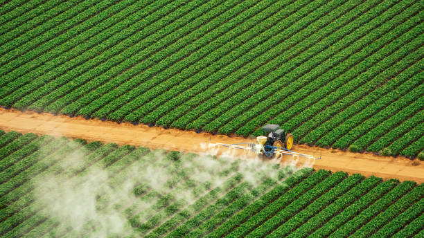 Best Pest Control Treatment  in Osburn, ID