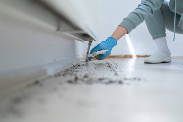 Best Residential Pest Control  in Osburn, ID